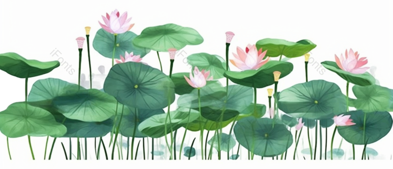 叶子图片,元素元素,荷花PNG,夏天免抠素材
